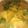 Jaya Dadhich 's cooksnap of when they made Dal dhokli.