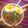 El cooksnap de David Guillermo Godoy González cuando hizo Ceviche de erizos.
