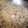 El cooksnap de Elvy Bautista cuando hizo Filetes de cinta de lomo con especias.