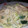 El cooksnap de Dunia Abdplm cuando hizo Espaguetis con langostinos y calabacín.
