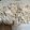 Angie's cooksnap of when they made Homemade fresh egg noodles.