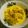 Cooksnap dari anisatur raehan untuk resep Sayur Tahu Kuah Santan