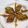 Er. Amrita Shrivastava 's cooksnap of when they made Crispy leaves.