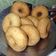 Cooksnap dari Camilan Sharbel untuk resep Donat Kentang Empuk Banget Anti Gagal