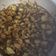 Cooksnap dari riesta untuk resep Nasi Tim Ayam Jamur / Steam Chicken Mushroom Rice