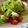 Cooksnap của Bò khi họ làm theo món Salad thịt bò
