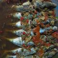 Cooksnap dari eva meylani untuk resep Steam Ikan Gembung