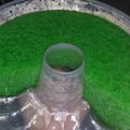 Cooksnap dari TA untuk resep Agar lumut