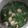 Cooksnap dari Firdausi Putri untuk resep Sayur loncom kangkung