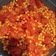 Cooksnap de Zulie-F sur la recette Poêlée de poivrons aux pois chiches et chorizo
