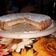 El cooksnap de Rossana Benavent cuando hizo Tarta de ricota con dulce de leche.