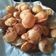 Sita Gupta का कुकस्नैप जब उन्होंने खट्टा मीठा तीखा होममेड गोलगप्पे (Khatta mitha teekha homemade golgappe recipe in hindi) बनाया था।