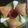 Rupa Kodwani's cooksnap of when they made Potato Samosa.