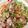Phan Bao Van's cooksnap of when they made Bún Bò Huế.