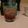 scalehelper's cooksnap of when they made Zombie Brain Hemorrhage.