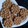 El cooksnap de Lucia Lagos cuando hizo Galletitas integrales estilo FRUTIGRAN🍪.