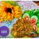Cooksnap dari Dhefnihatun Qozan untuk resep Rendang Tuna
