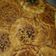 صورة من أم حاتم "، شاركها بعد تجربة وصفة 🍪معمول السميد ولا أطيب😋
