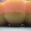 Cooksnap dari Jesica Arnez untuk resep Puding Lumut Mentega