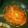 Cooksnap dari Risky Puspita untuk resep Balado Telor Ceplok by Ezelea