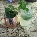 El cooksnap de Jesús PeÑa cuando hizo Mojito.