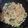 Cooksnap dari Ila Jahrotunisa untuk resep Mie Goreng Jawa Mi Telur cap 3 Ayam