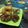 Cooksnap dari Mazida Diazz untuk resep Ayam Goreng Lengkuas