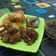 Cooksnap dari Mazida Diazz untuk resep Ayam Goreng Lengkuas