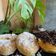 Cooksnap dari Anggi Puput Atha untuk resep Donat Kentang super empuk