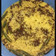 Deepika Arora का कुकस्नैप जब उन्होंने खमन ढोकला (khaman dhokla recipe in Hindi) बनाया था।