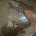 chun手作料理食堂 的 沙鍋魚頭 cooksnap