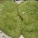 Cooksnap dari Eva Dwi faradila untuk resep Kue cucur a.k.a kucur nangka anti gagal