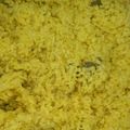 Cooksnap dari Mbak Yayik untuk resep Nasi Kuning Spesial (Magic Com)