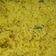 Cooksnap dari Mbak Yayik untuk resep Nasi Kuning Spesial (Magic Com)