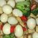 Cooksnap dari Bendi Creative untuk resep Tumis brokoli wortel telur puyuh