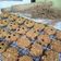 Cooksnap dari FitriaNisa untuk resep Crunchy Oatmeal Almond Cookies Non Gluten