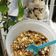 Cooksnap dari Sri Mulyati untuk resep No Baked Granola Bars