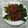 Cooksnap dari Sri Rahayu untuk resep Kailan Cah Daging Sapi