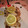 El cooksnap de isa24 cuando hizo Pollo al limón.