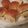jim bob's cooksnap of when they made Crockpot Chicken Bacon Ranch sliders.