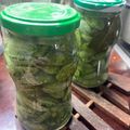 El cooksnap de Mauro Noir cuando hizo Pepinos en vinagre agridulces.