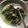 Cooksnap dari Putri Novita Yenny untuk resep Tempe Sayur Santan Daun Pakis