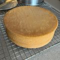 Cooksnap dari Nany untuk resep Sponge Cake ala Chennie Zhang
