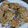 El cooksnap de Sil cuando hizo Galletas de banana, avena y naranja.