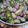 Cooksnap dari Rifa Yuanita untuk resep Tumis Sprout Brussels