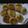 Richa Shahpatel's cooksnap of when they made રગડા પૂરી (Ragda Poori Recipe In Gujarati).