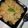 Monika gupta 's cooksnap of when they made Veg Fried Rice.