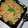 Monika gupta 's cooksnap of when they made Veg Fried Rice.