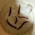 Cooksnap Aznie Khasri semasa beliau membuat Cara Menyimpan Beras Terhindar Dari Kutu Beras.
