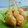 Cooksnap dari surya ayu untuk resep Pentol goreng tepung